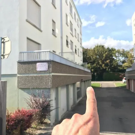 Апартаменты T A 5mn Euro Airport Avec Terrasse